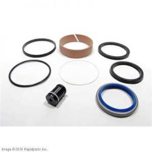 CAT LIFT TRUCKS - SEAL KIT,W/ CHECK VALVE A000047482