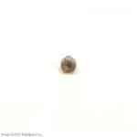 CAT LIFT TRUCKS - BALL SEAT A000036335 A000036335