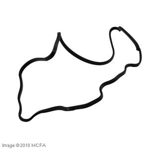 CAT LIFT TRUCKS - GASKET F420208000